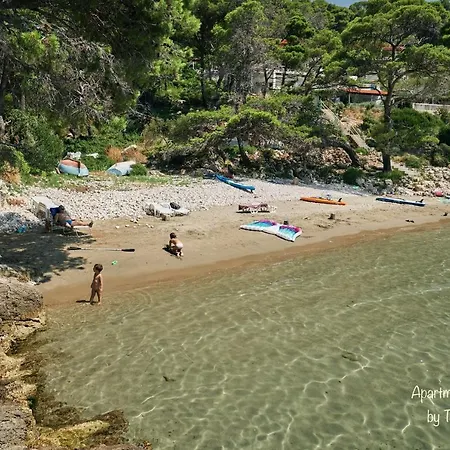 Podkucica * Saplunara
